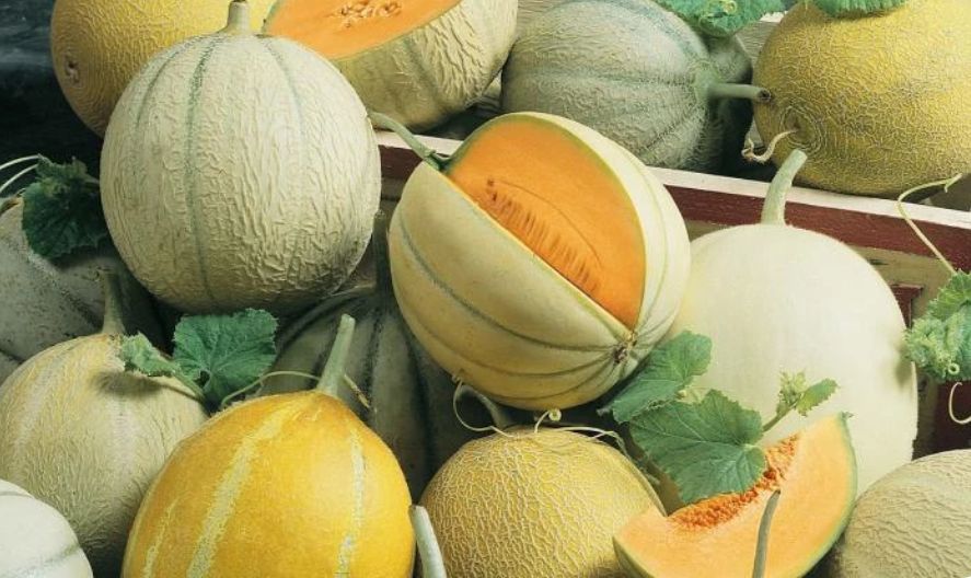 ��� ��������� ���� � ������� ������: ������� �������� ��������