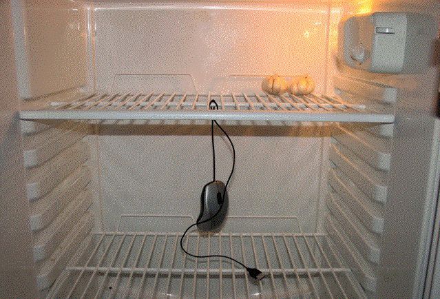 Как сохранить свежесть продуктов в летнем холодильнике: советы экспертов