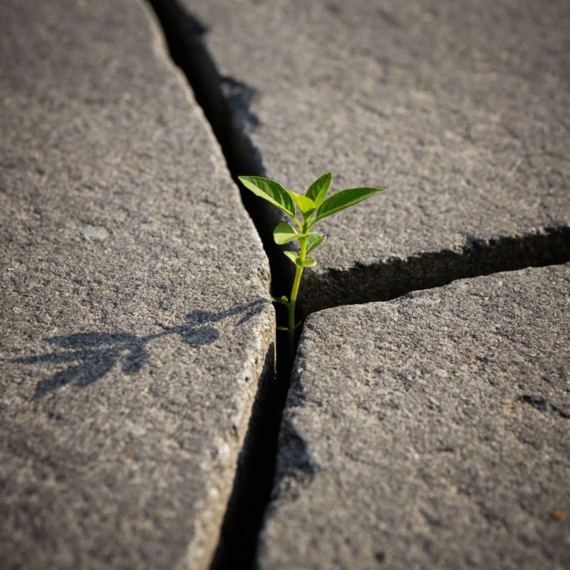 Семейные заботы как священное призвание: как быт становится служением