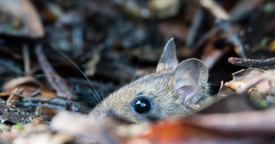 ��� ����� ������� �� ������ � ����������� � ��������������� �����?