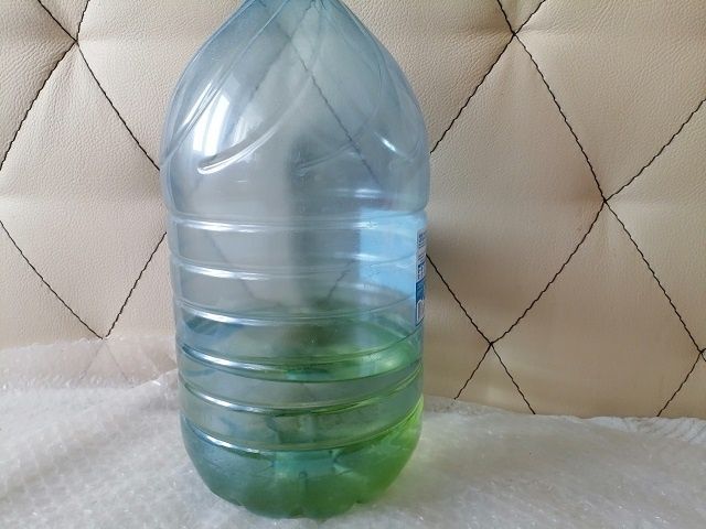 Зеленый налет в бутыле: как вернуть идеальную чистоту