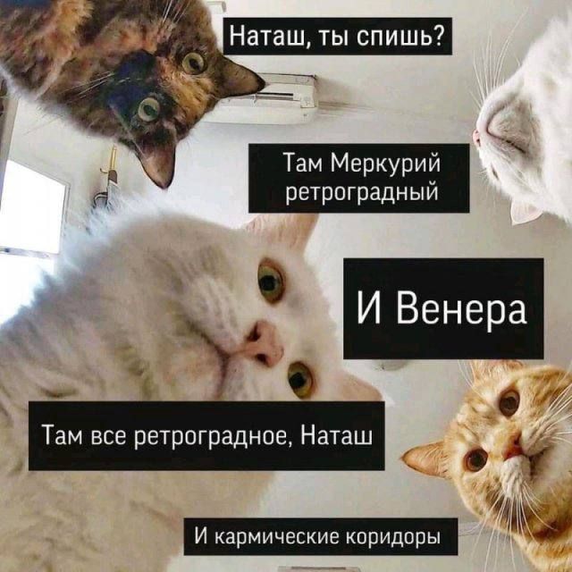   &quot; &quot;  