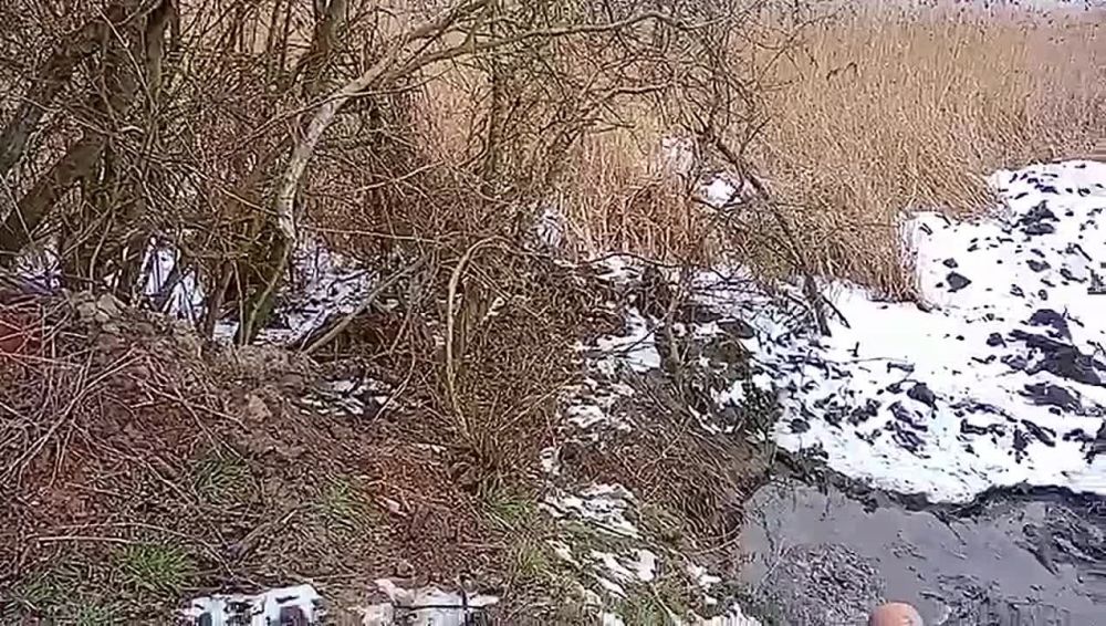 ��������� ��������� ������� � ���������� ����� � ������ ������������ ��� � ���������� ����