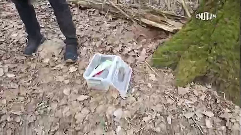     ,  ,        