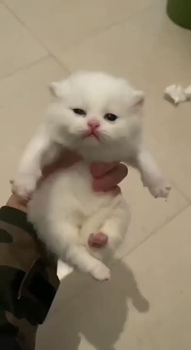 ,         :