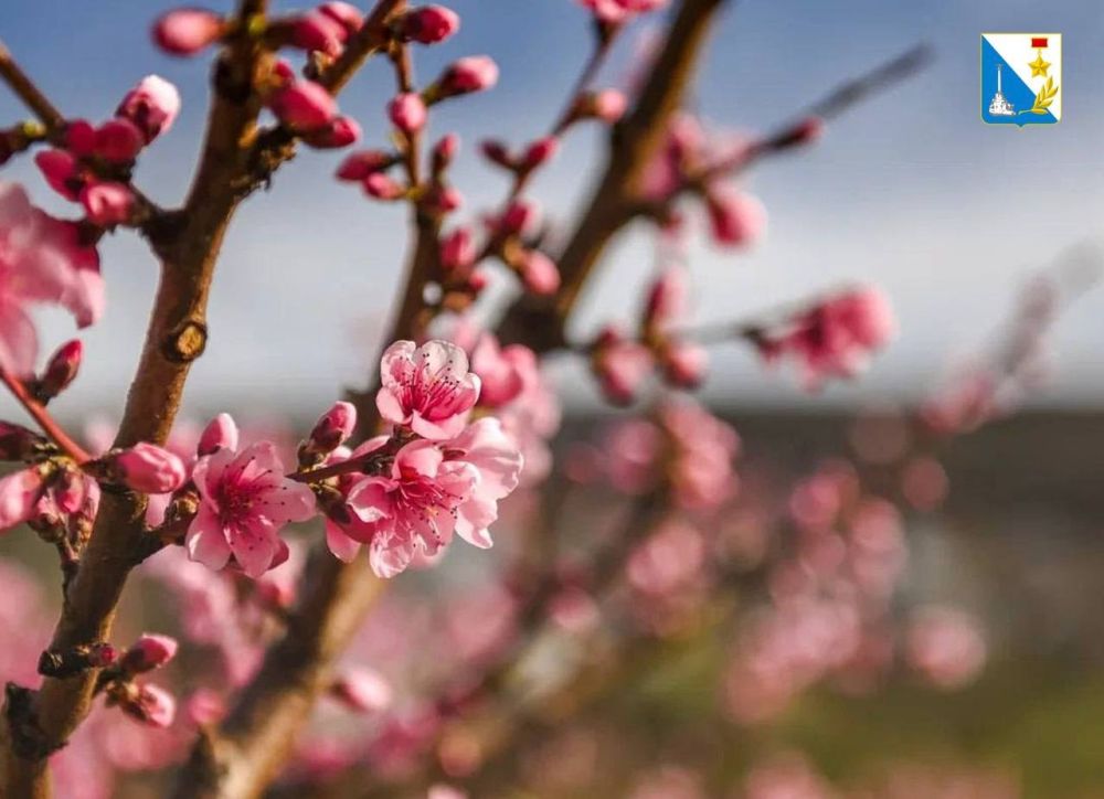 ������ ����!. �������, ��� ���� �������� � ������� � �� ��� ������ � ��� ����� �������� � ������! 1 ����� � ������ ����, ����� ������� �������� ������� ������������ �� ������� ���. � ���� ���� ������ �������� ����� ��������...