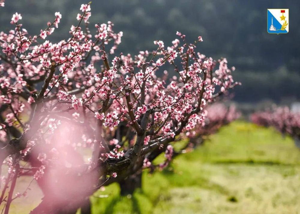 ������ ����!. �������, ��� ���� �������� � ������� � �� ��� ������ � ��� ����� �������� � ������! 1 ����� � ������ ����, ����� ������� �������� ������� ������������ �� ������� ���. � ���� ���� ������ �������� ����� ��������...