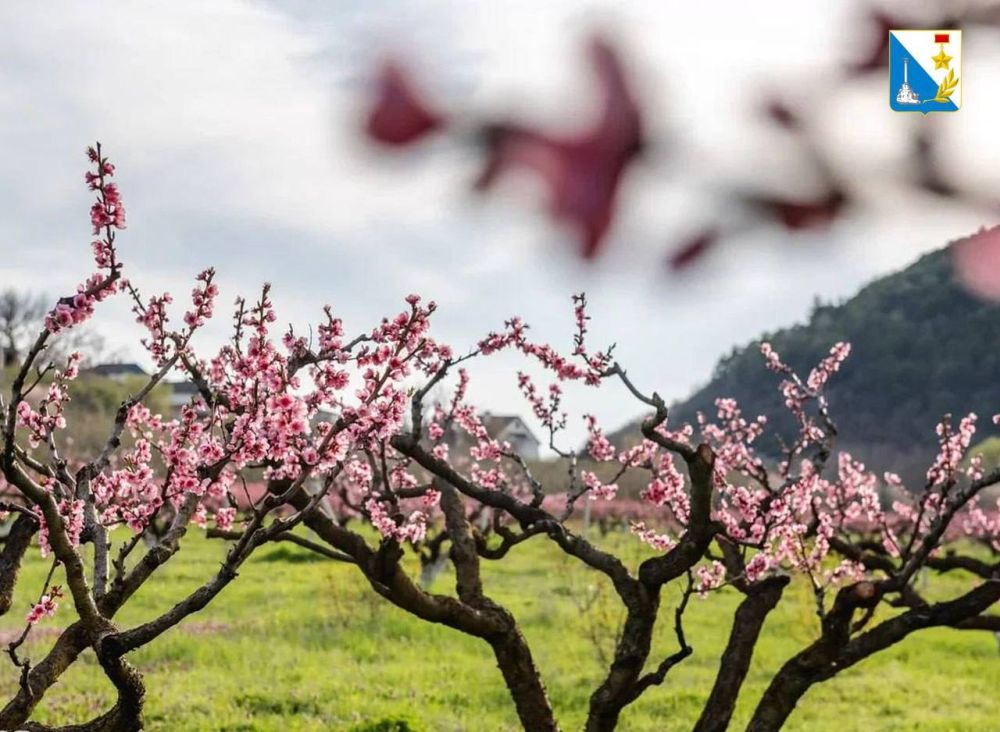 ������ ����!. �������, ��� ���� �������� � ������� � �� ��� ������ � ��� ����� �������� � ������! 1 ����� � ������ ����, ����� ������� �������� ������� ������������ �� ������� ���. � ���� ���� ������ �������� ����� ��������...