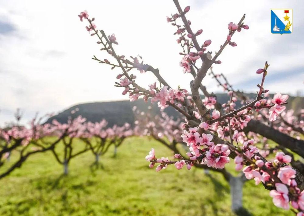 ������ ����!. �������, ��� ���� �������� � ������� � �� ��� ������ � ��� ����� �������� � ������! 1 ����� � ������ ����, ����� ������� �������� ������� ������������ �� ������� ���. � ���� ���� ������ �������� ����� ��������...