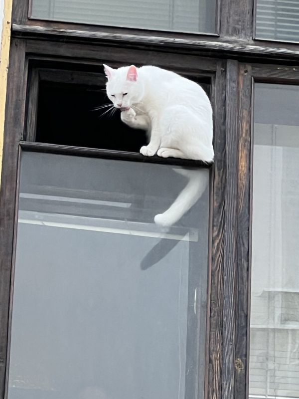  :   