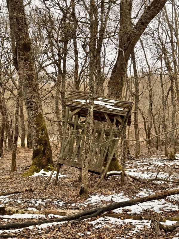 Илья Пестерников: Друзья, всем добрый вечер. Поздравляю вас с Прощеным воскресеньем! Илья Пестерников: Друзья, всем добрый вечер. Поздравляю вас с Прощеным воскресеньем!