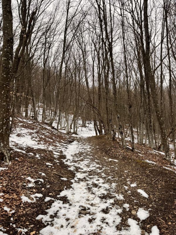 Илья Пестерников: Друзья, всем добрый вечер. Поздравляю вас с Прощеным воскресеньем! Илья Пестерников: Друзья, всем добрый вечер. Поздравляю вас с Прощеным воскресеньем!