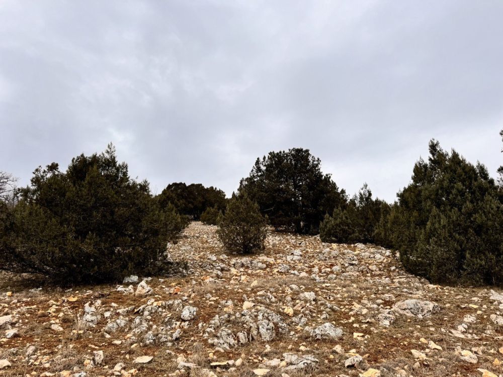 Илья Пестерников: Друзья, всем добрый вечер. Поздравляю вас с Прощеным воскресеньем! Илья Пестерников: Друзья, всем добрый вечер. Поздравляю вас с Прощеным воскресеньем!