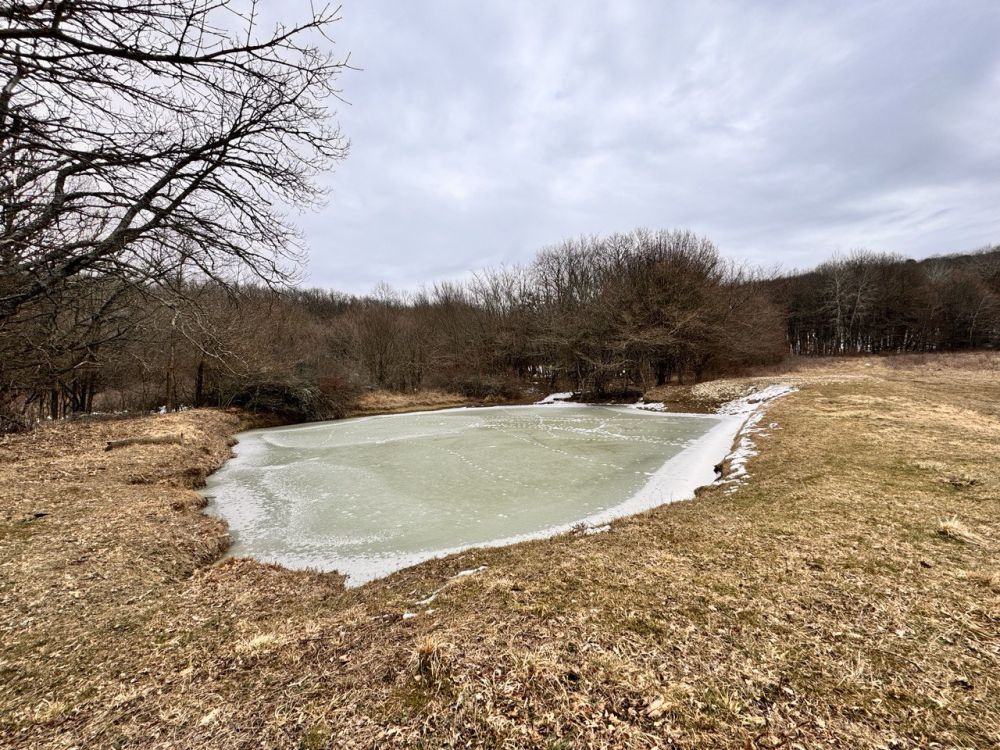Илья Пестерников: Друзья, всем добрый вечер. Поздравляю вас с Прощеным воскресеньем! Илья Пестерников: Друзья, всем добрый вечер. Поздравляю вас с Прощеным воскресеньем!