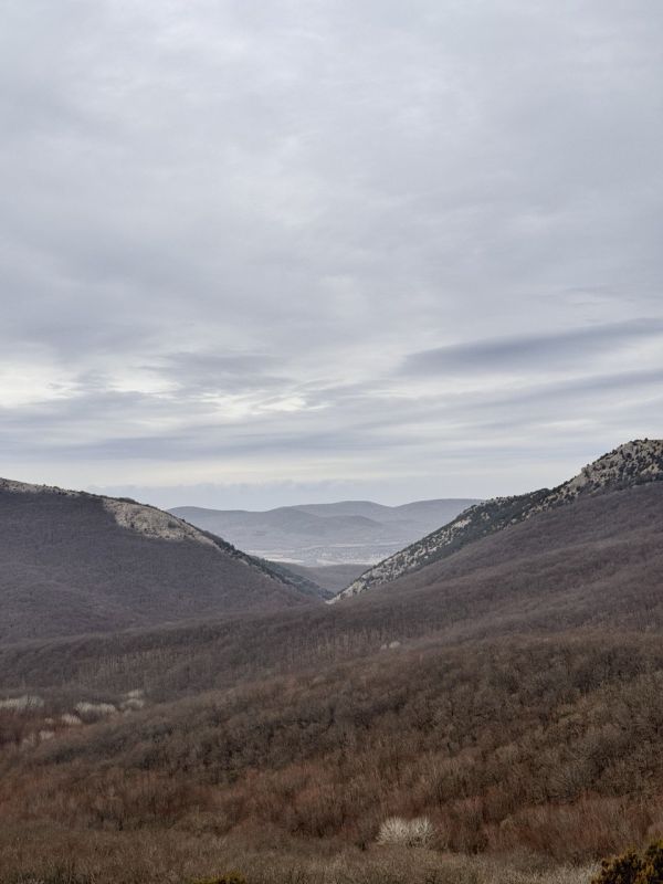 ���� �����������: ������, ���� ������ �����. ���������� ��� � �������� ������������!