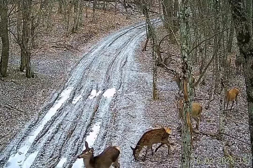 3 ����� ���������� ��������� ���� ����� �������