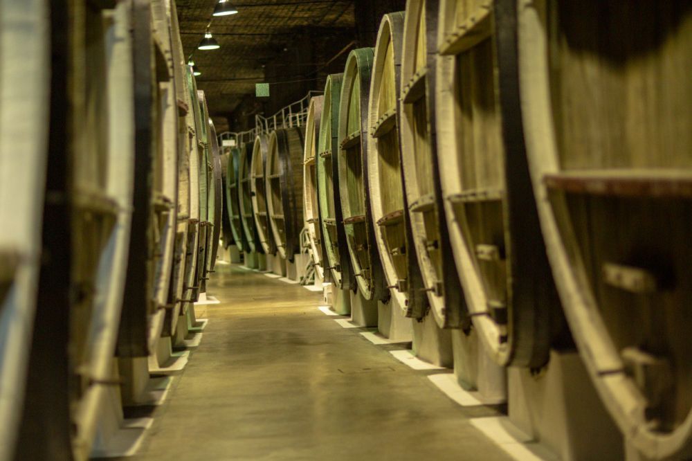 ����� �������� � ������ �����, � ������ � ��� � ����� ��� ���������������� �����������!