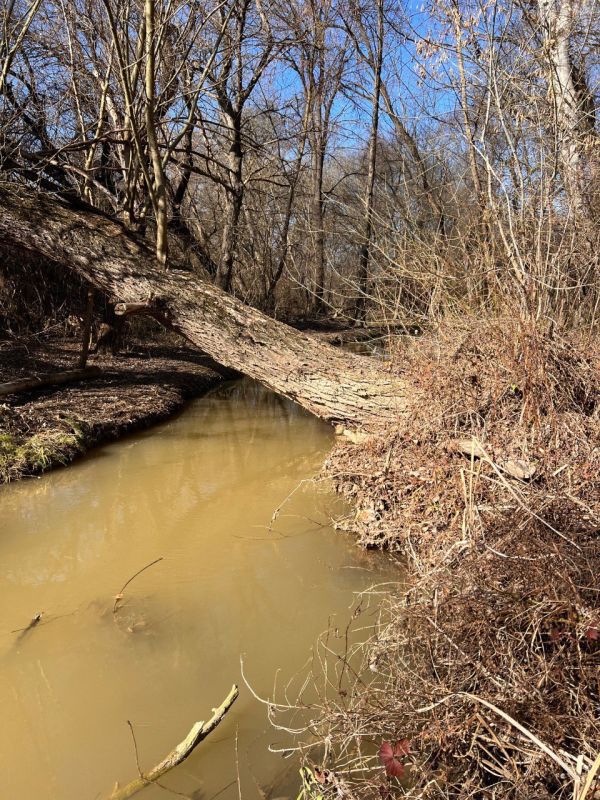 � ������ ���������� � ��������������� ������� ����������� ���������������� ��������� ������������ ���������� ���, ����������� �� ���������� �����������