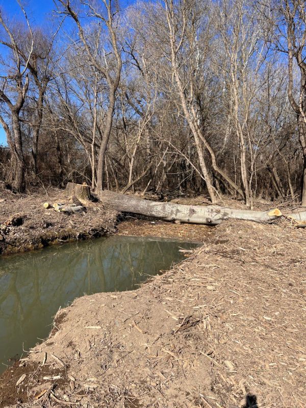 � ������ ���������� � ��������������� ������� ����������� ���������������� ��������� ������������ ���������� ���, ����������� �� ���������� �����������