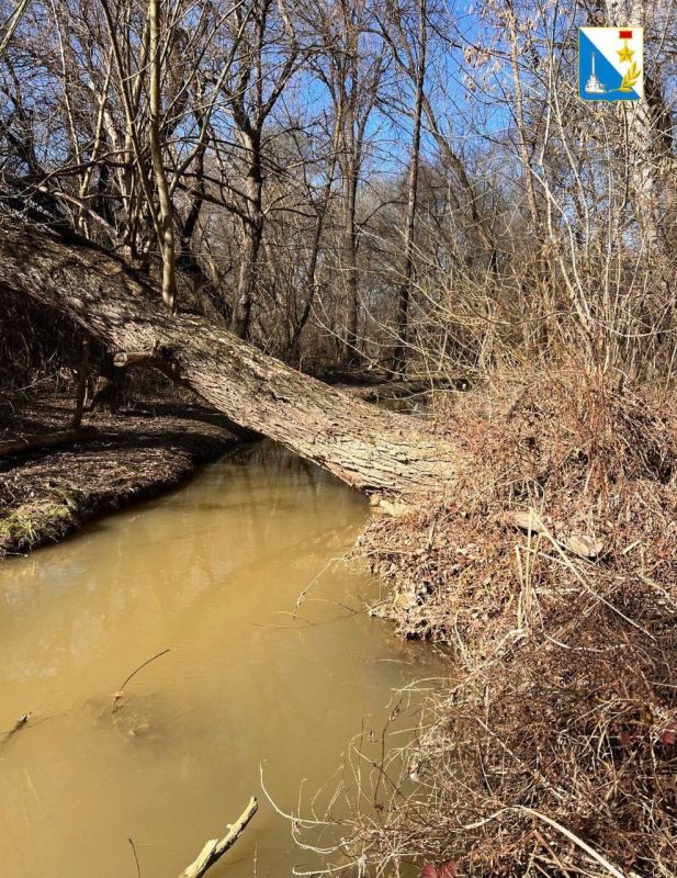 � ����������� ��������� ������������� ���� ������ ����������������