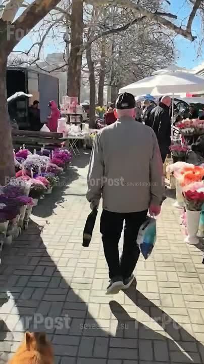     &quot;&quot;