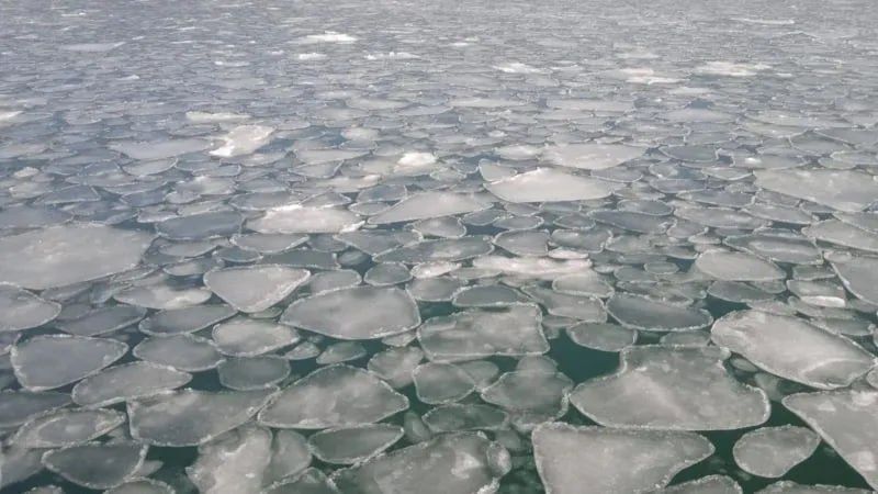 � ��� �������� � ������� ��������� ���� ����� ��������� ��������� ������� � ������ ���� ������ ��