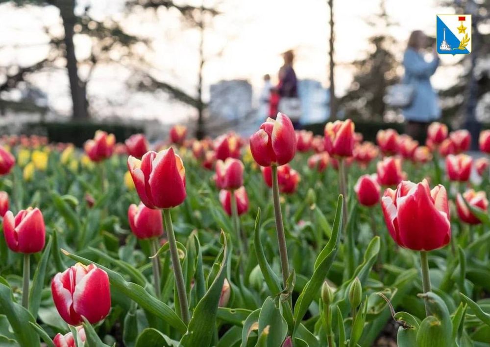 �������, � ������������� ������� ���� � 8 �����, �� ����� ���������� ����� ������� ������ � ���� ���������� ����������!