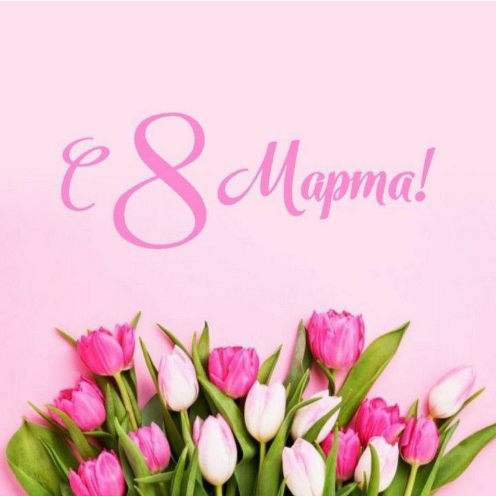 Дмитрий Белик: Милые женщины! Примите самые теплые поздравления с Международным женским днем 8 Марта!