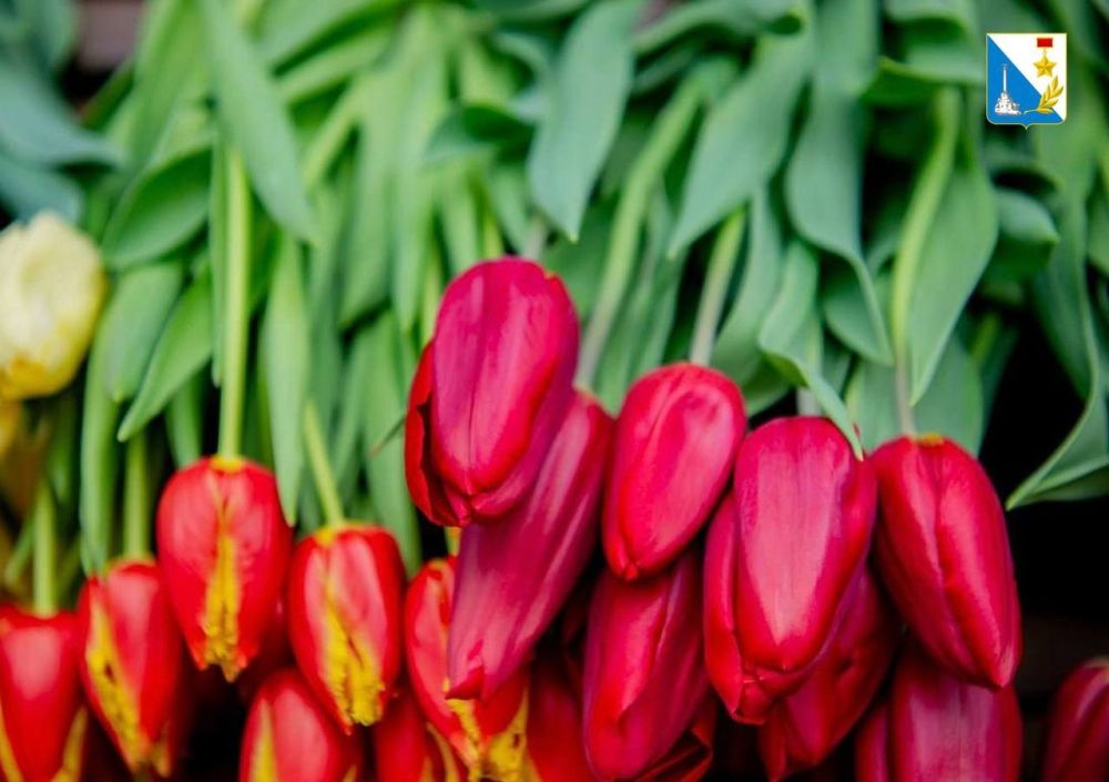 Сегодня, в Международный женский день — 8 Марта, мы хотим поздравить наших любимых женщин с этим прекрасным праздником!