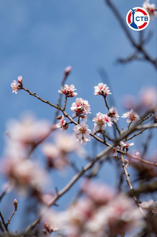 ����������� ����� � �����������