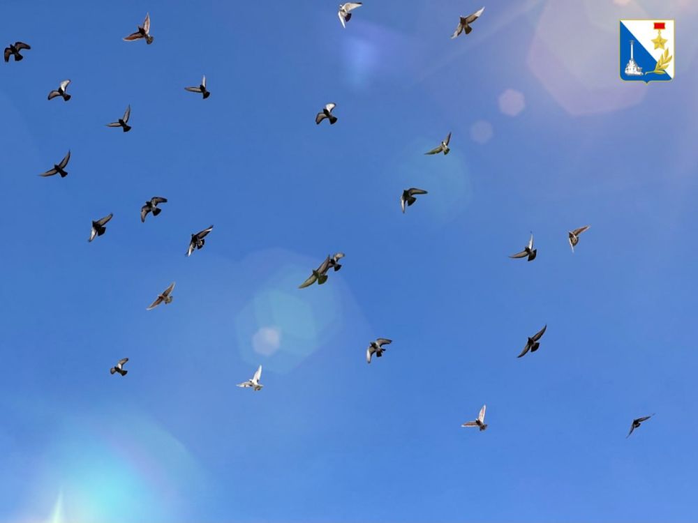 Желаем вам провести этот весенний день активно и с пользой!