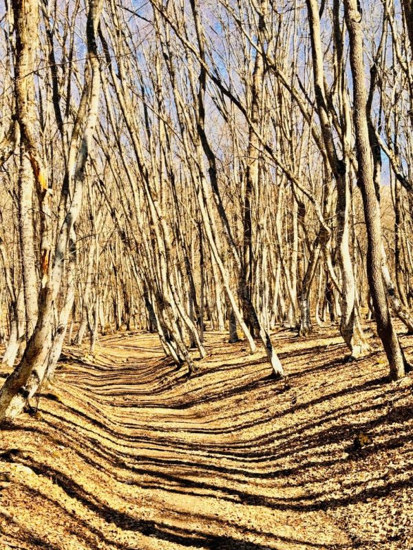 ���� �����������: ��� ����� ���� ��������� � �������� ������������ �� ��������� ����� �� �������, ����� ��������� � ������������ ���� ����� ������� ������