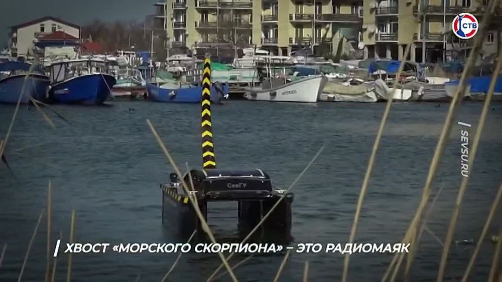 Студенты СевГУ разработали катамаран для сбора водного мусора