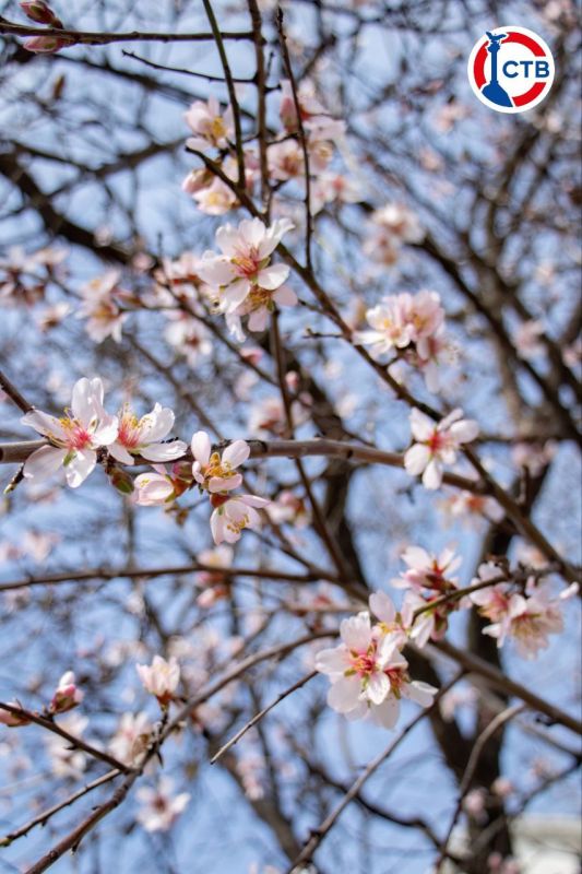 ����������� ����� � �����������