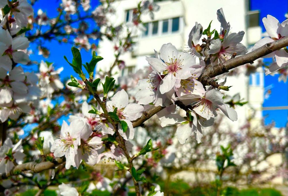 Доброе утро, Севастополь!
