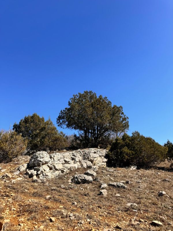 ���� �����������: ��� ����� ���� ��������� � �������� ������������ �� ��������� ����� �� �������, ����� ��������� � ������������ ���� ����� ������� ������