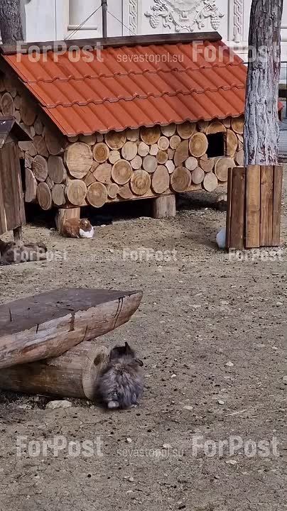 ������ ��� � �����: �������� ������� � ����� ���������