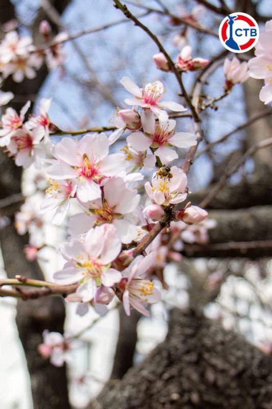 ����������� ����� � �����������