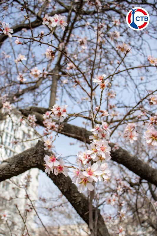 ����������� ����� � �����������