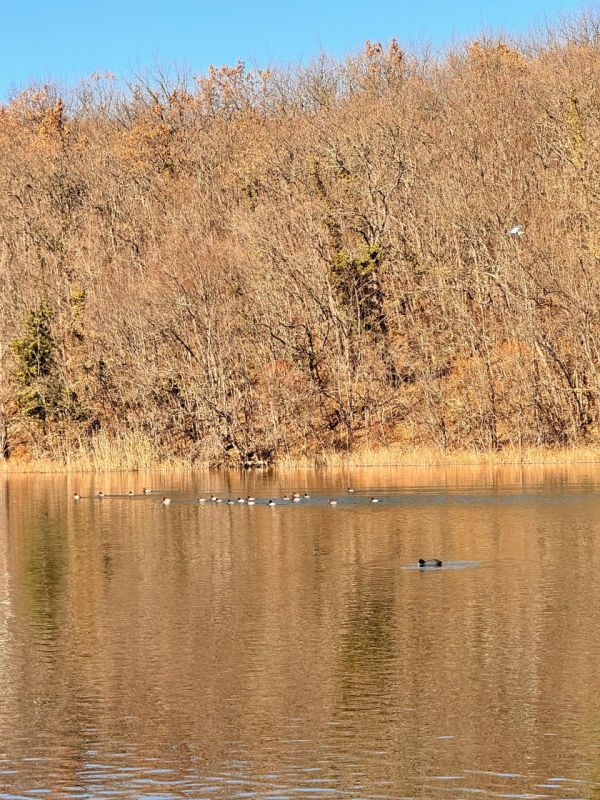 Илья Пестерников: Уже стало моей традицией в выходные отправляться на несколько часов на природу, чтобы отдохнуть и восстановить силы после рабочей недели