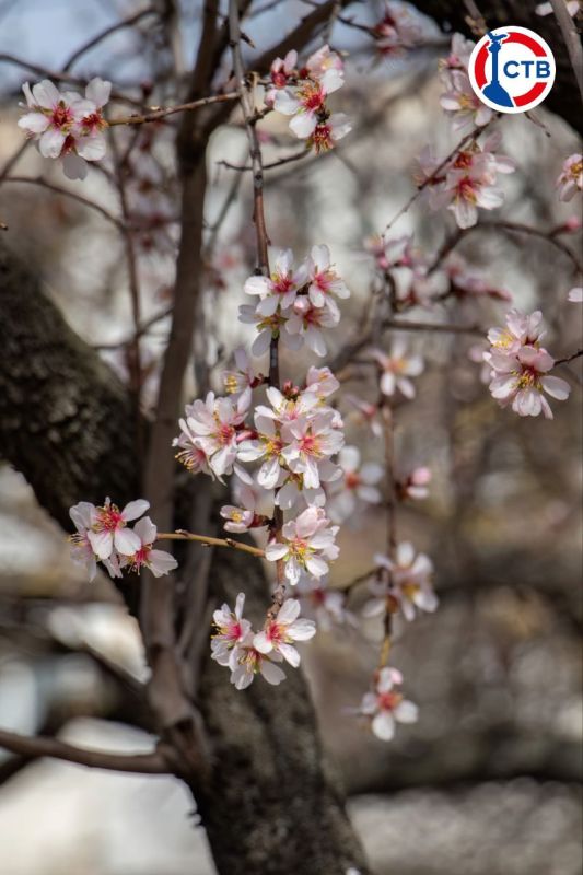 ����������� ����� � �����������