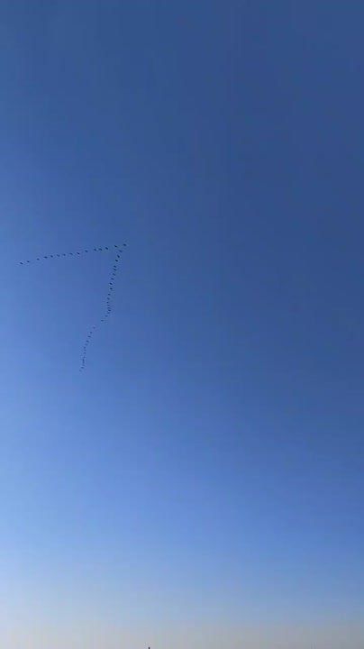 Доброго утра, друзья!. Без осадков. Ветер ночью восточный, днем западный 5-10м/с. Температура воздуха ночью +2...+4°С, днем +11...+13°С. В море +6°С Видео: Анна