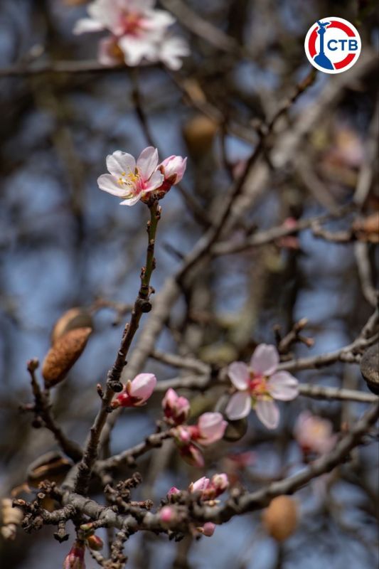 ����������� ����� � �����������