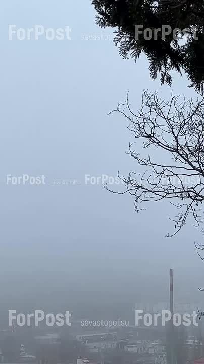 Утренний Севастополь окутал плотный туман