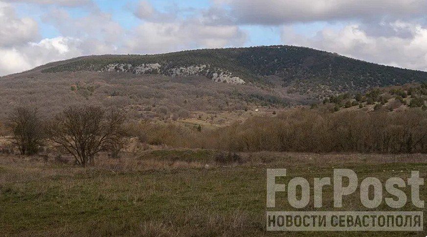 Элитный лицей и коттеджи в Байдарской долине должны были строиться в рамках СЭЗ