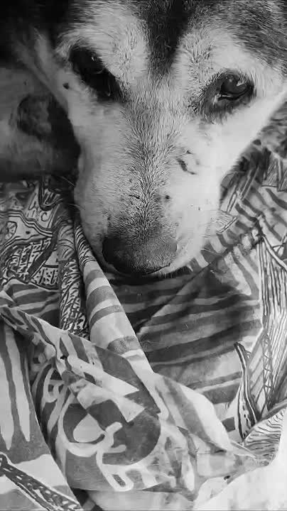 ���� ��������� � ����������� ��� �� ������ ������� ���