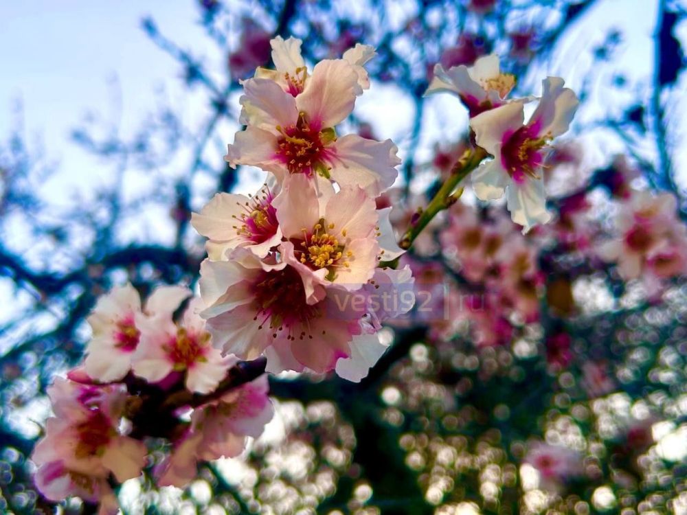 �������� �����������. ����� �����������