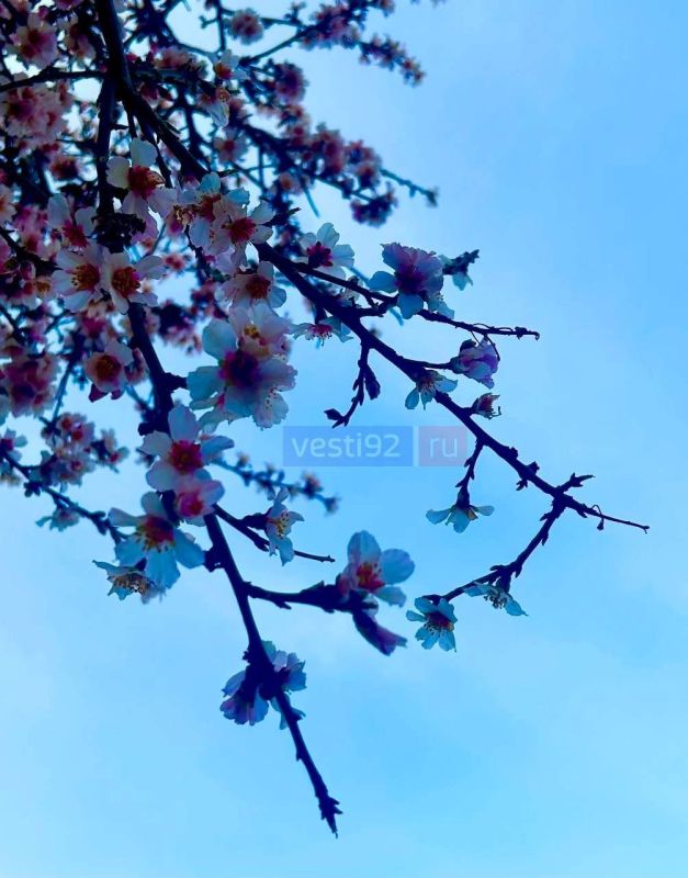 �������� �����������. ����� �����������