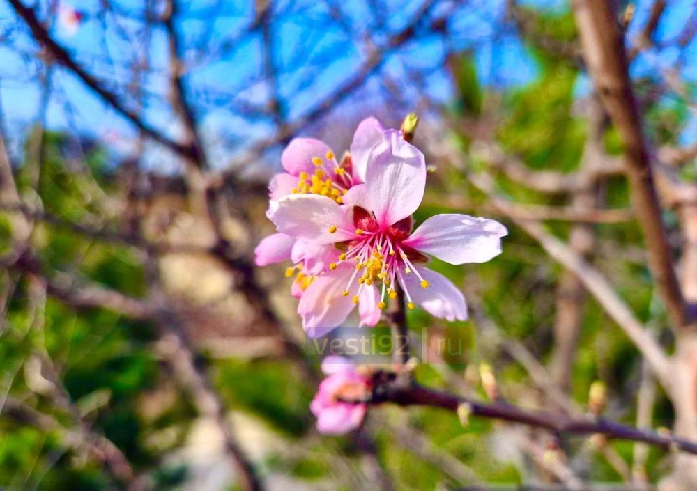 �������� �����������. ����� �����������