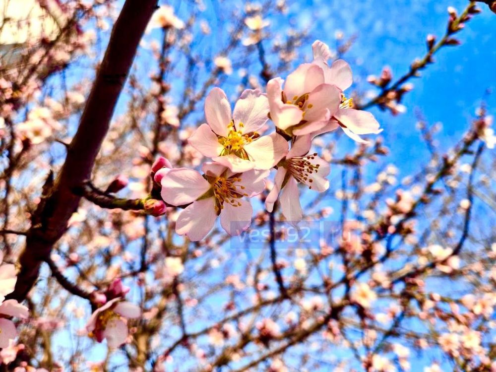 �������� �����������. ����� �����������